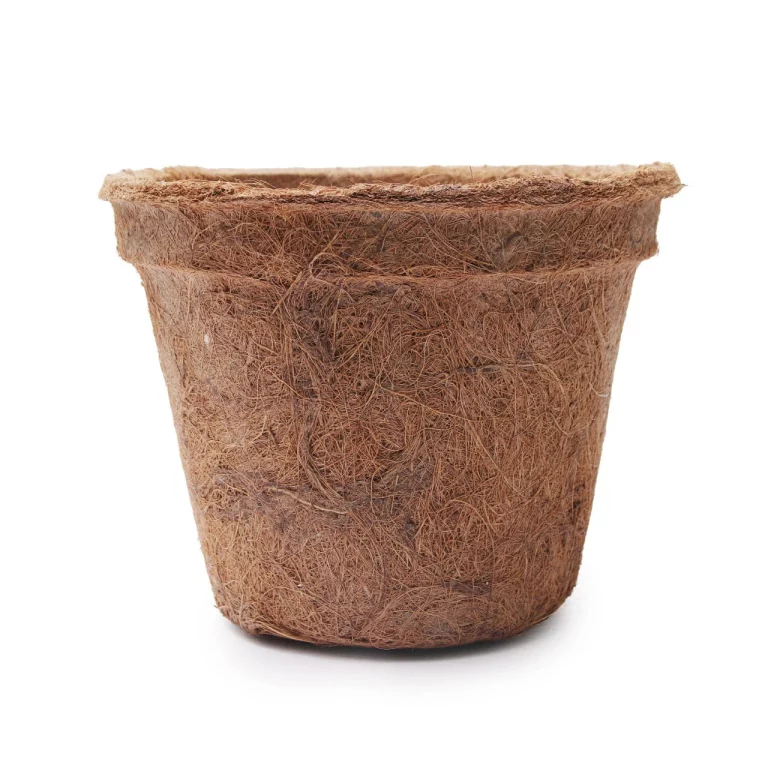 coir pot