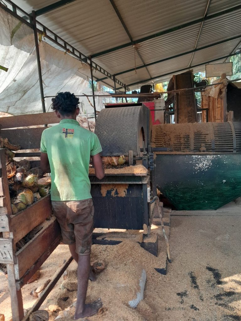 Peat Producing