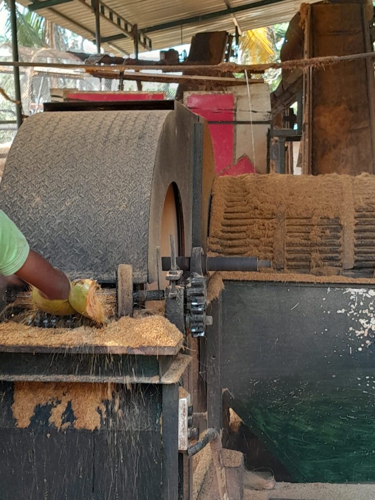 Peat Producing